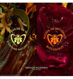 Absolus Allegoria Ambre Samar - Eau de Parfum